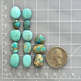 Small Sky Blue Freeform Number 8 Turquoise, Set of 13 Dimensions