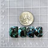 Medium Ocean Blue Half Moon Yungai Turquoise, Set of 4 Dimensions