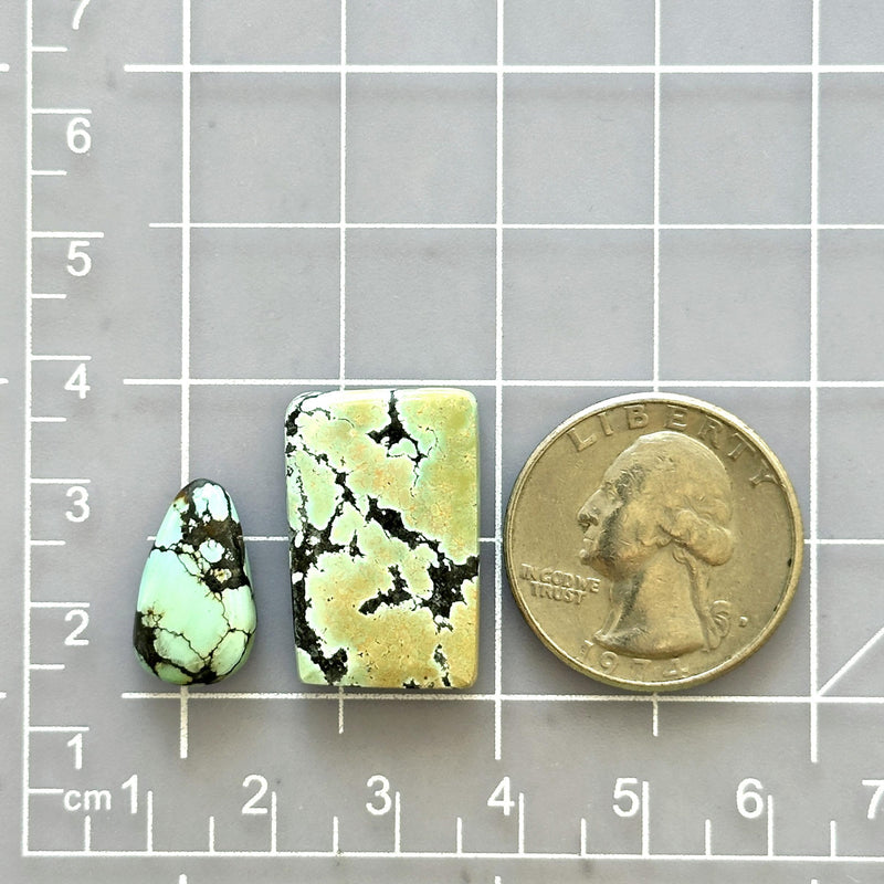 Medium Mixed Mixed Giraffe Turquoise, Set of 2 Dimensions