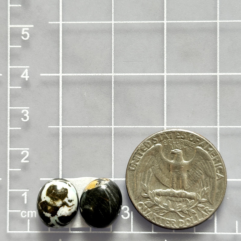 Small Mixed Round Broken Arrow Variscite, Set of 2 Dimensions