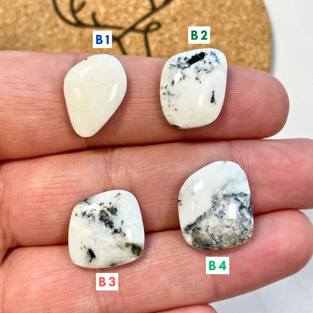 2. Medium Freeform White Buffalo - 111224 – Turquoise Moose