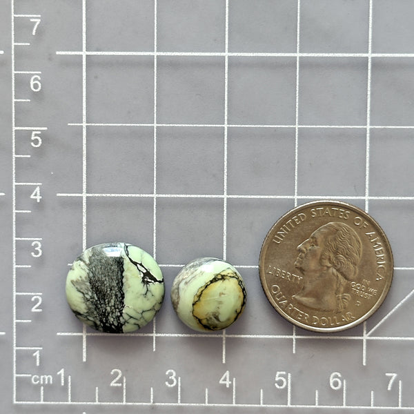Small Mint Green Mixed Crescent Lake Variscite, Set of 2 Dimensions