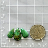 Small Deep Green Teardrop Crescent Lake Variscite, Set of 3 Dimensions