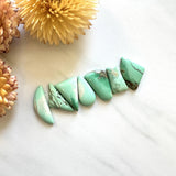 Small Mint Green Mixed Crescent Lake Variscite, Set of 7 Background