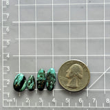 Small Deep Green Mixed Sonora Turquoise, Set of 4 Dimensions