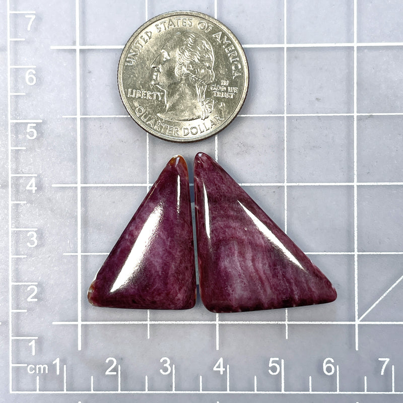 Large Purple Triangle Spiny Oyster, Set of 2 Dimensions