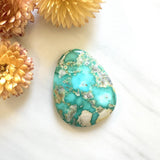 Large Sky Blue Freeform Fox Turquoise Background