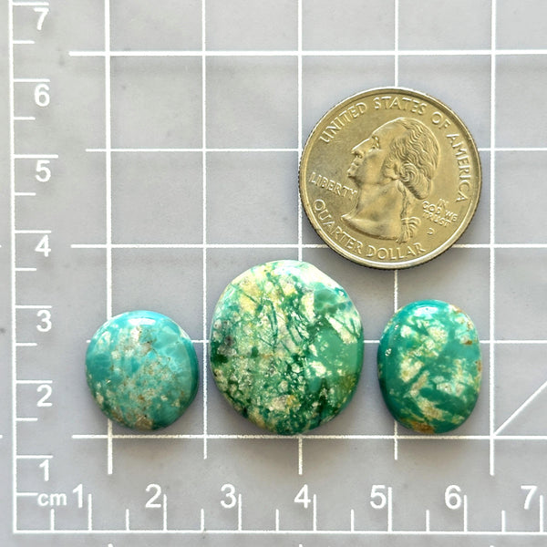 Medium Sea Green Mixed Fox Turquoise, Set of 3 Dimensions