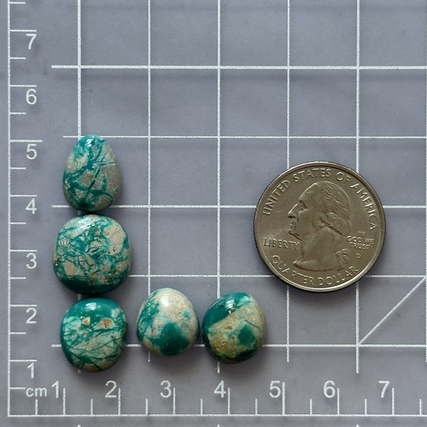 Small Mint Green Freeform Fox Turquoise, Set of 5 Dimensions