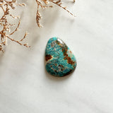 Large Sky Blue Teardrop Fox Turquoise Background