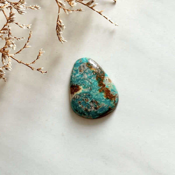 Large Sky Blue Teardrop Fox Turquoise Background