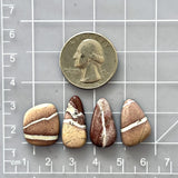 Medium Red Mixed White Buffalo Dolomite, Set of 4 Dimensions