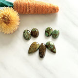 Medium Earth Brown Mixed Treasure Mountain Turquoise, Set of 7 Background