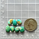 Small Sea Green Freeform Royston Turquoise, Set of 7 Dimensions
