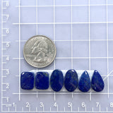 Small Deep Blue Mixed Lapis Lazuli, Set of 6 Dimensions