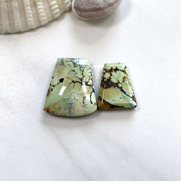 Medium Faint Green Petal Treasure Mountain Turquoise, Set of 2 Background