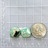 Small Mint Green Freeform Carico Lake Turquoise, Set of 2 Dimensions