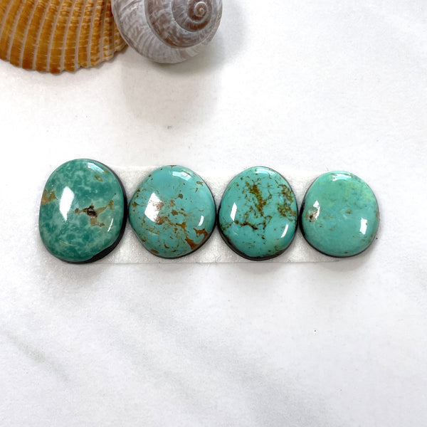 Small Mint Green Freeform Tyrone Turquoise, Set of 4 Background