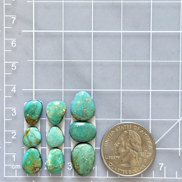 Medium Sea Green Mixed Carico Lake Turquoise, Set of 9 Dimensions