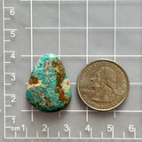 Large Sky Blue Teardrop Fox Turquoise Dimensions