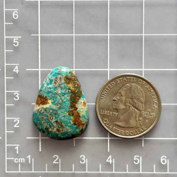 Large Sky Blue Teardrop Fox Turquoise Dimensions