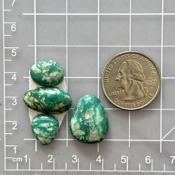 Small Deep Green Mixed Fox Turquoise, Set of 4 Dimensions