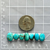 Small Sky Blue Mixed Tyrone Turquoise, Set of 7 Dimensions