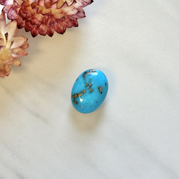 Large Sky Blue Oval Ithaca Peak Turquoise Background