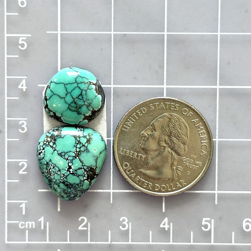 Large Sky Blue Freeform Yungai Turquoise, Set of 2 Dimensions
