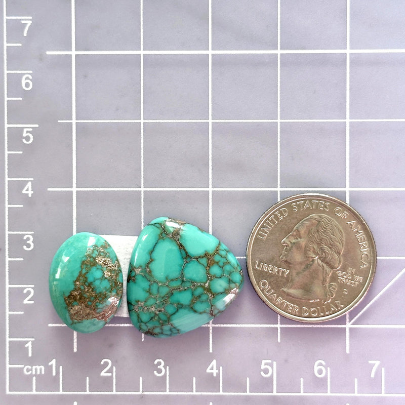 Large Sky Blue Mixed Treasure Mountain Turquoise, Set of 2 Dimensions
