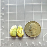 Small Yellow Teardrop Crescent Lake Variscite, Set of 2 Dimensions