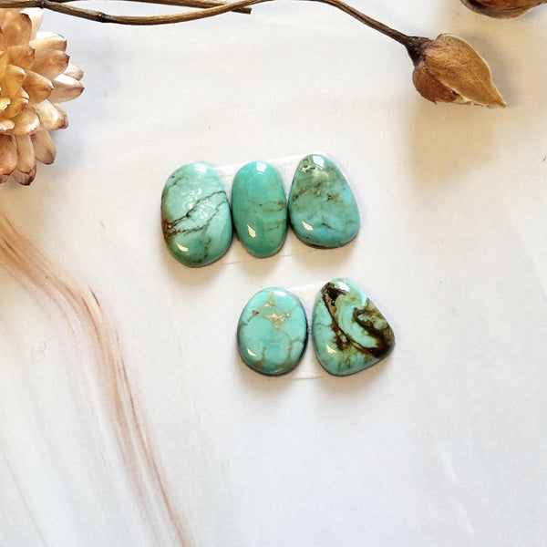 Small Mint Green Freeform Number 8 Turquoise, Set of 5 Background