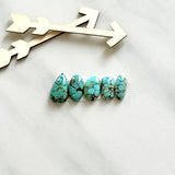 Small Sky Blue Mixed Wild Horse Turquoise, Set of 5 Background