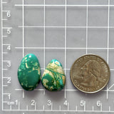 Medium Sea Green Mixed Fox Turquoise, Set of 2 Dimensions