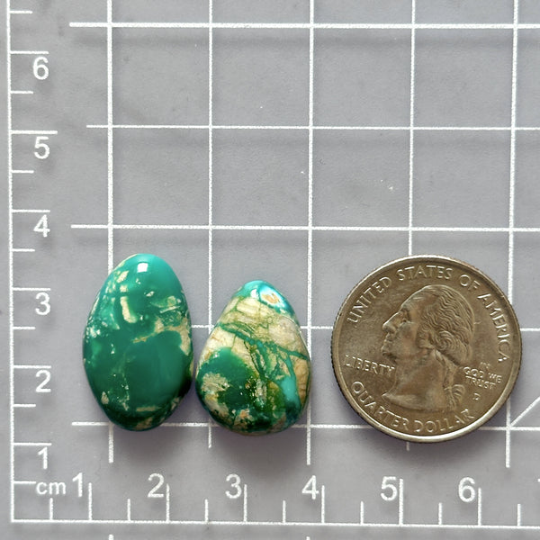 Medium Sea Green Mixed Fox Turquoise, Set of 2 Dimensions