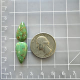 Medium Bamboo Green Teardrop Royston Turquoise, Set of 2 Dimensions