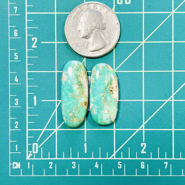 Large Sea Green Freeform Tyrone Turquoise, Set of 2 Dimensions