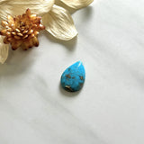 Large Sky Blue Teardrop Ithaca Peak Turquoise Background