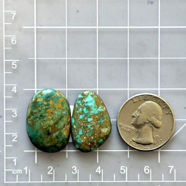 Medium Sea Green Freeform Lone Mountain Turquoise, Set of 2 Dimensions
