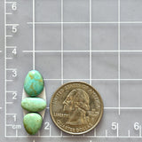 Small Mint Green Mixed Tyrone Turquoise, Set of 3 Dimensions