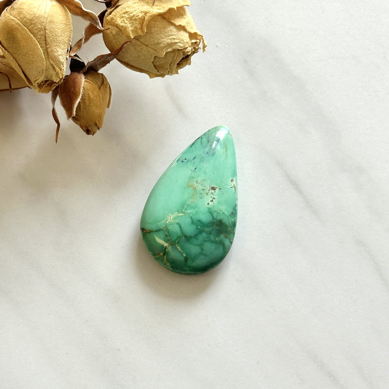 Large Sea Green Teardrop Crescent Lake Variscite Background