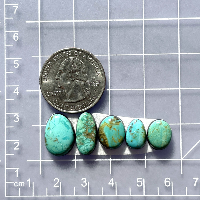 Small Sky Blue Freeform Tyrone Turquoise, Set of 5 Dimensions