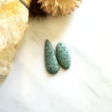 Medium Sea Green Mixed Crescent Lake Variscite, Set of 2 Background