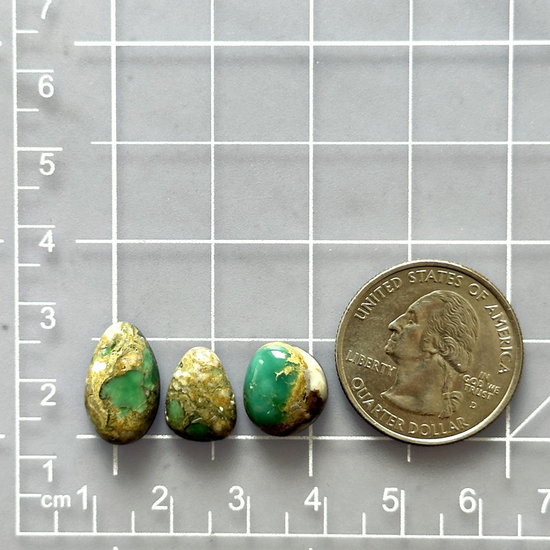 Small Deep Green Mixed Broken Arrow Variscite, Set of 3 Dimensions