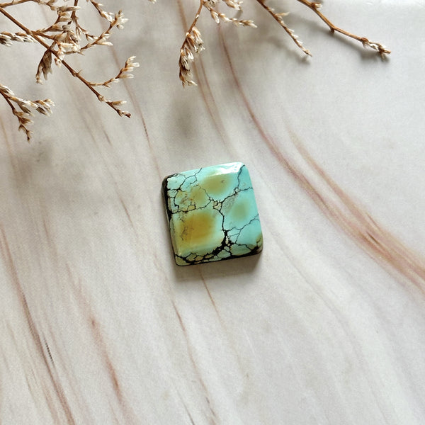 Large Mint Green Bar Giraffe Turquoise Background