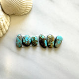 Small Sky Blue Freeform Number 8 Turquoise, Set of 6 Background