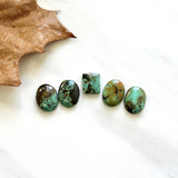Small Mixed Mixed Treasure Mountain Turquoise, Set of 5 Background