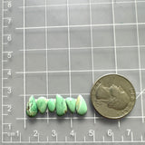 Small Mint Green Mixed Crescent Lake Variscite, Set of 6 Dimensions