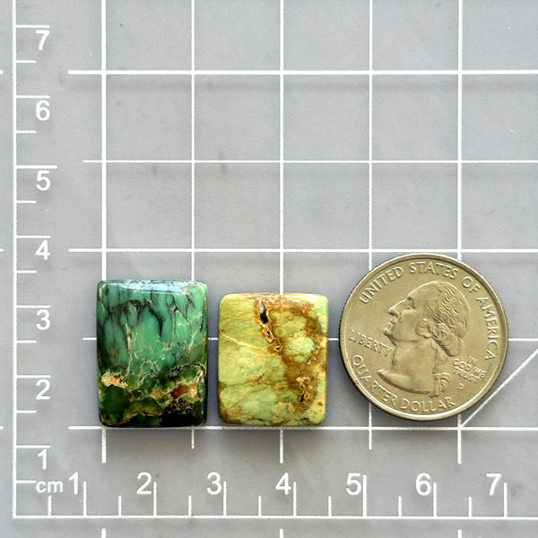 Large Mixed Bar Crescent Lake Variscite, Set of 2 Dimensions