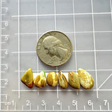 Small Pale Brown Mixed Royston Turquoise, Set of 6 Dimensions